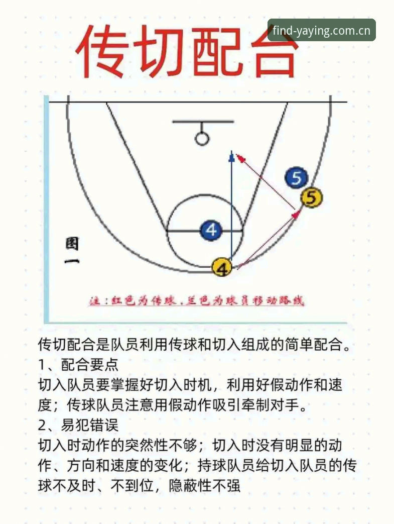 深度揭秘：亚盈体育安全吗？实战派教你如何锁定正版入口避开陷阱
